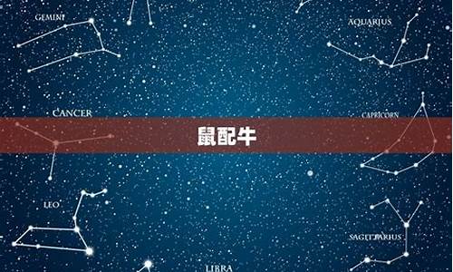 免费星座生肖配对-星座配对免费测试