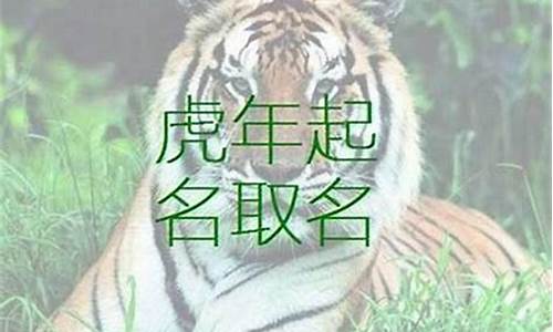 生肖虎取名字禁忌-生肖虎取名字禁忌有哪些